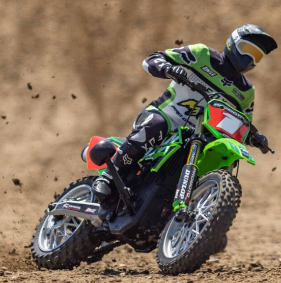 LOSI 1/4 Promoto-MX Motorcycle RTR Pro Circuit LOS06002