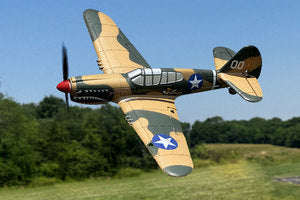 Curtiss P-40 Warhawk Micro RTF Airplane with PASS RGRA1305